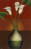 Calla Lily Display I Fine Art Print