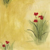 Poppy Patch Fine Art Print