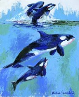 Whales Fine Art Print