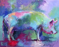 Pig Fine Art Print