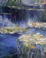 Pond and Lilly Fine Art Print