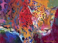 Leopard 1 Fine Art Print