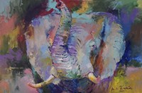 Elephant Fine Art Print