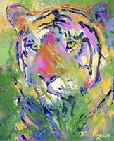 Tiger 2 Fine Art Print