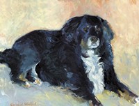 Harley Fine Art Print