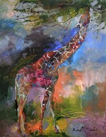 Giraffe Fine Art Print