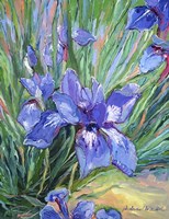 Iris Fine Art Print