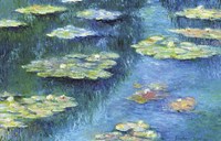 Botanical Garden Lilies 1 Fine Art Print