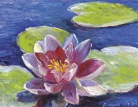 Lily Pad Flowers Fine Art Print