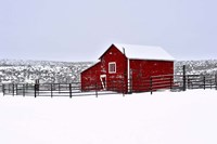 Red Barn In Winter Fine Art Print