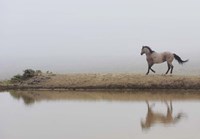 Mystical Beauty Fine Art Print