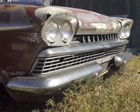 Ambassador Fine Art Print