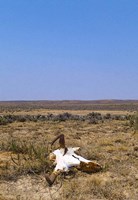 Way Out West Fine Art Print