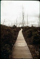 Devastation Trail Fine Art Print