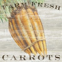 Farm Fresh Carrots Framed Print