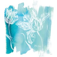 Water Wash I Fine Art Print