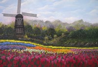 Tulip Garden Fine Art Print