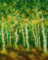 Birch Trees Fine Art Print