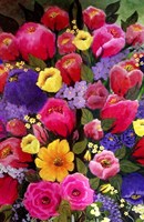 Pink Spring Flowers Fine Art Print