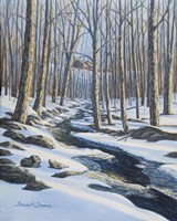 Woodland Farm Stream Fine Art Print