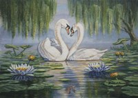Swan Love Fine Art Print