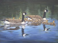 Spring Training Fine Art Print