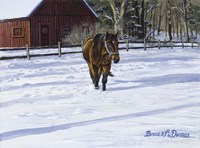 Afternoon Stroll Fine Art Print