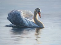 In To The Light Fine Art Print