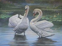 Don't Be Shy Fine Art Print