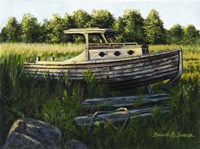 Retired Beauty Fine Art Print