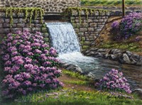 Spring Has Sprung Fine Art Print