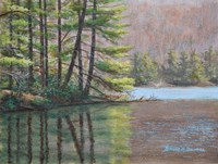 Pine Lake Fine Art Print