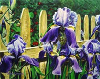 Iris By The Fence Fine Art Print