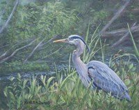 On Watch Fine Art Print