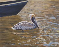 Sparkling Water Pelican Fine Art Print