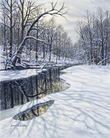 Sun Kissed Fine Art Print