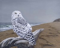 After The Storm Fine Art Print