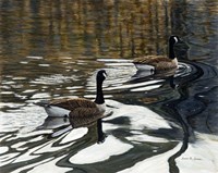 Leaving The Shore Fine Art Print