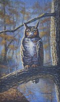 Great Horned Owl Fine Art Print