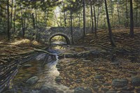 Rock Bridge White Tails Fine Art Print