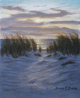 Shore Path Fine Art Print