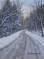 Winter Woods Fine Art Print