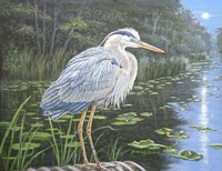 Blue Heron Moon Fine Art Print