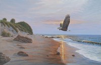 Free Bird Fine Art Print