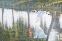 Freedom Fine Art Print