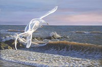 Wave Skimmers Fine Art Print