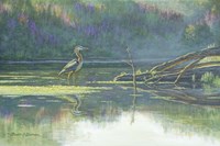 Solitary Hunter Fine Art Print