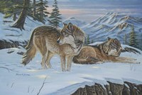 Vantage Point Wolves Fine Art Print