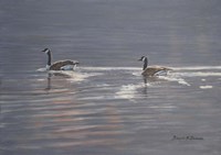 Refracted Light Fine Art Print