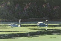 Lovers Cruise Fine Art Print